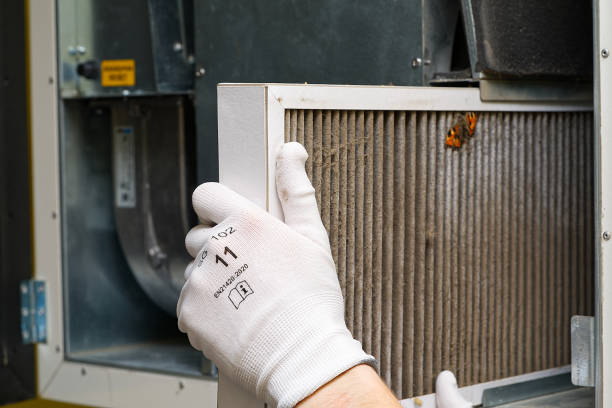 Best Air Quality Test  in Willamina, OR