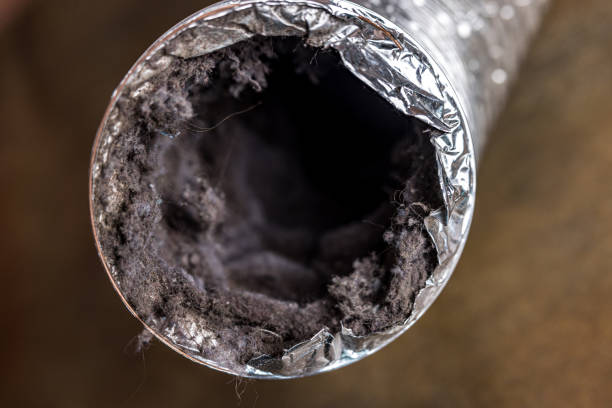 Best Air Duct Cleaning Near Me  in Willamina, OR